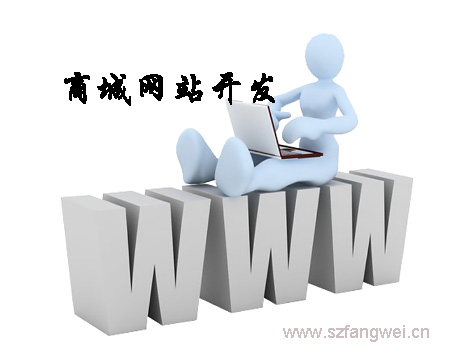商城系統(tǒng)開(kāi)發(fā)